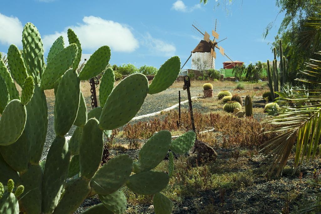 Hotel Rural Era De La Corte - Adults Only アンティグア エクステリア 写真